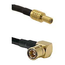 fieldcomponents202607190342502295413