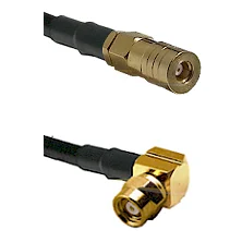 fieldcomponents202607190346422296521