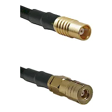 fieldcomponents202607190359232300108
