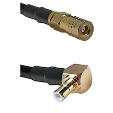 fieldcomponents202607190423102306678