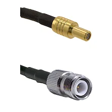 fieldcomponents202607190438402311111