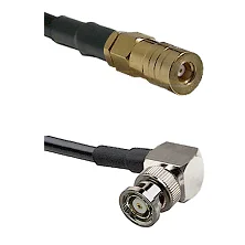 fieldcomponents202607190512372320940