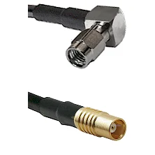 fieldcomponents202607190518082322653
