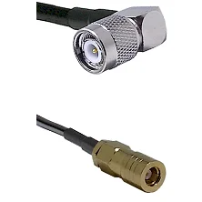 fieldcomponents202607190520342323316