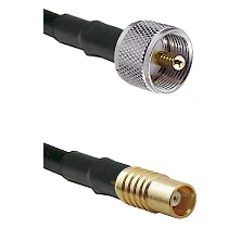 fieldcomponents202607190522282323773