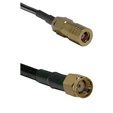 fieldcomponents202607190529032325451