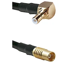 fieldcomponents202607190533422326610