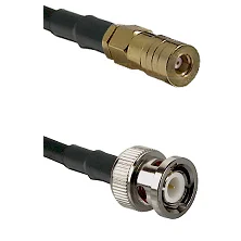 fieldcomponents202607190535442327154