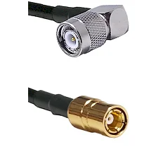 fieldcomponents202607190539382328166