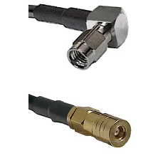 fieldcomponents202607190546412329918