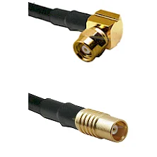 fieldcomponents202607190546572329977
