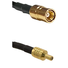 fieldcomponents202607190548262330341