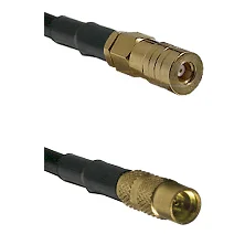 fieldcomponents202607190558012332717