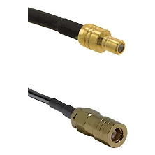 fieldcomponents202607190610252335838