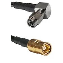 fieldcomponents202607190615052337039