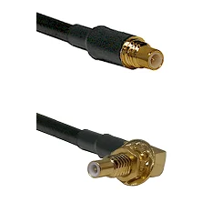 fieldcomponents202607190617162337581