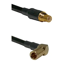fieldcomponents202607190618552337981