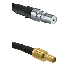 fieldcomponents202607190909472380376