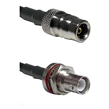 fieldcomponents202607190914522381661