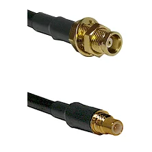 fieldcomponents202607190958442392450