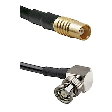 fieldcomponents202607191002472393440