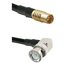fieldcomponents202607191002492393448