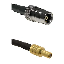 fieldcomponents202607191023452398926