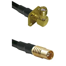fieldcomponents202607191107402409945