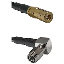 fieldcomponents202607191159222423441