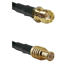 fieldcomponents202607191205252424894