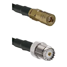fieldcomponents202607191210492426392