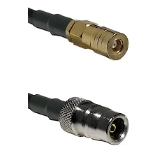 fieldcomponents202607191211432426637