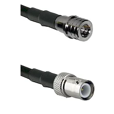 fieldcomponents202607191256202437714