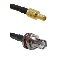 fieldcomponents202607191258372438314