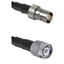 fieldcomponents202607191259472438601