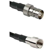 fieldcomponents202607191300142438716
