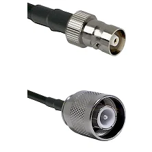 fieldcomponents202607191300232438752