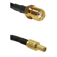 fieldcomponents202607191320452443229