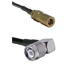 fieldcomponents202607191327082444756