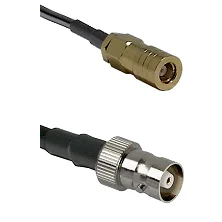 fieldcomponents202607191327512444933