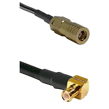 fieldcomponents202607191327562444961