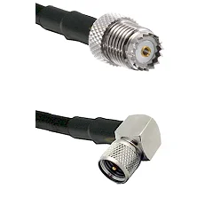 fieldcomponents202607191346452448935
