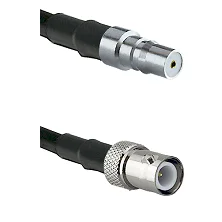 fieldcomponents202607191501132464560
