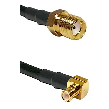 fieldcomponents202607191504052465239