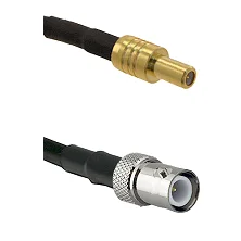 fieldcomponents202607191600472478282