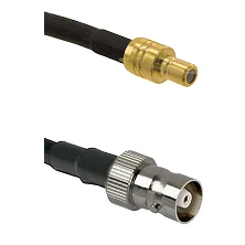 fieldcomponents202607191743122503483