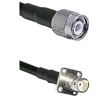 fieldcomponents202607191743532503679