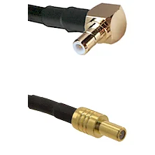 fieldcomponents202607191759592508248