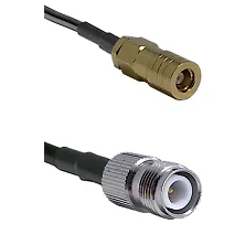 fieldcomponents202607191806062510046