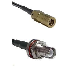 fieldcomponents202607191806292510161